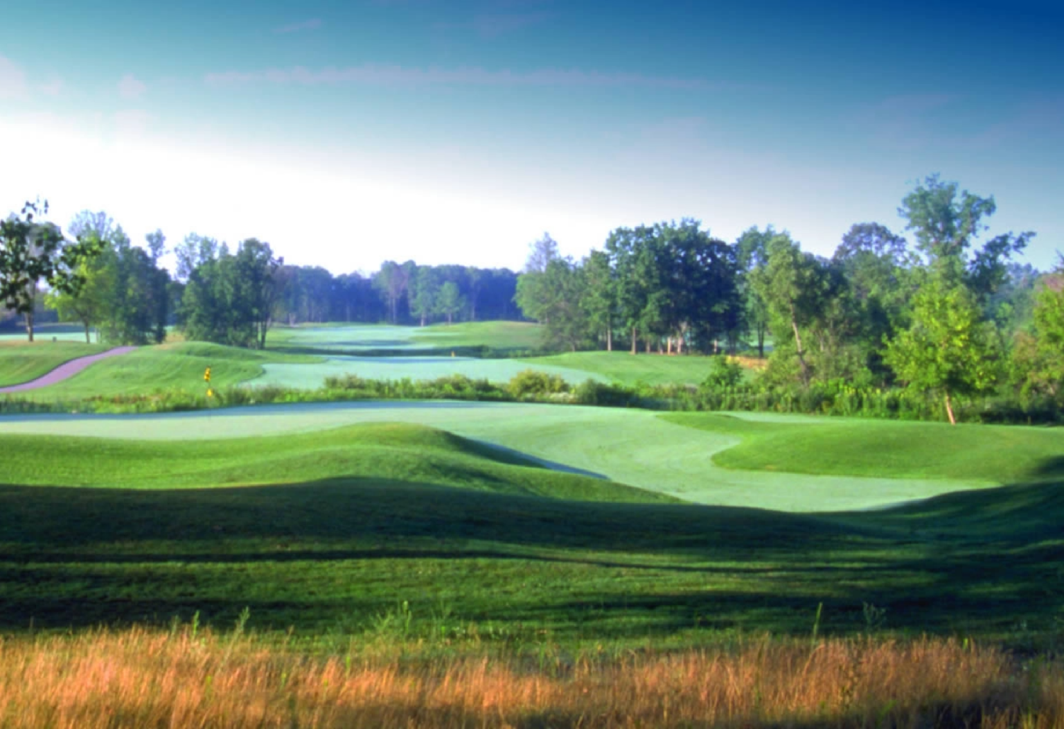 Fieldstone Golf Club Auburn Hills MI